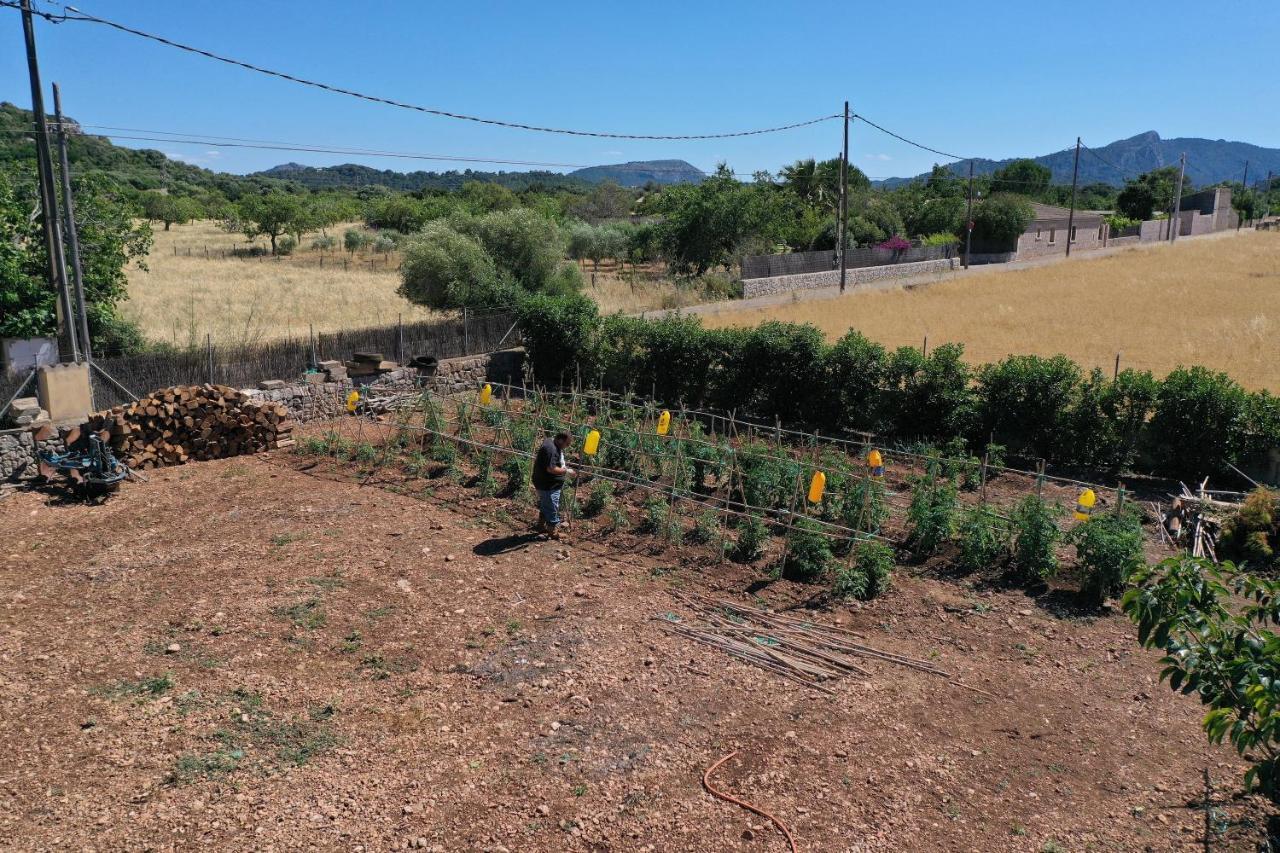 Can Seguinot Pollença Extérieur photo